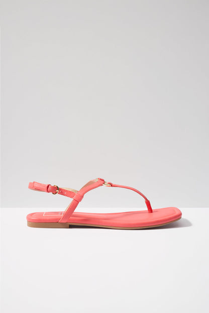 Lorene T Strap