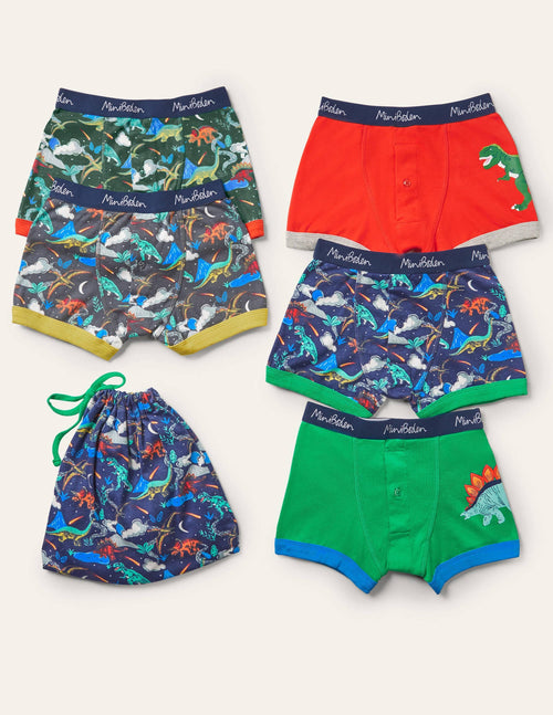 Boxers 5 Pack-Multi Dinosaur