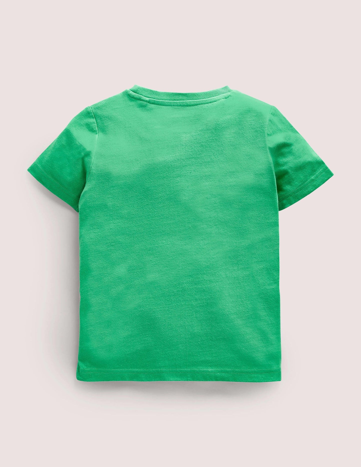 Birthday Appliqué T-shirt-Aloe Green Bunnies Four