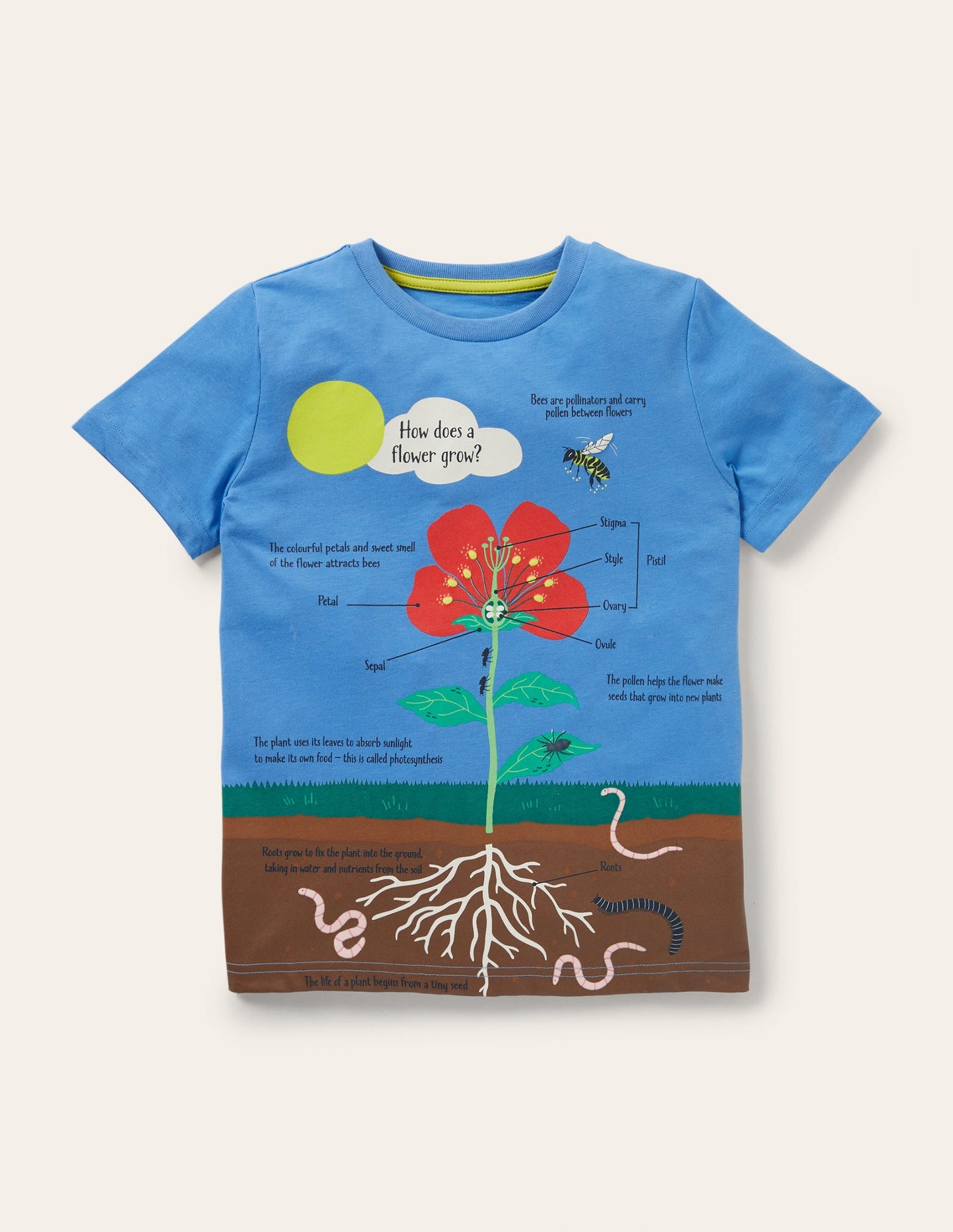 Blue Flower Educational T-shirt-Bright Bluebell Blue Flower